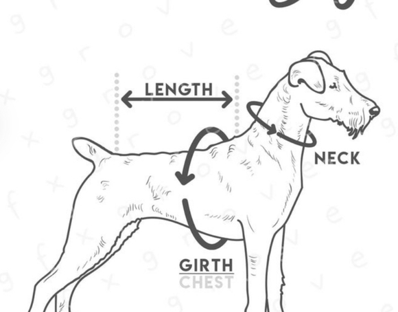 ๐3 for $30 - Black Security Vest/Sleeveless Shirt Sz S NWOT - Picture 3 of 4